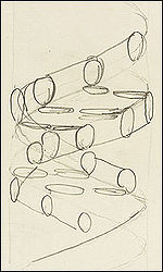 DNA Sketch