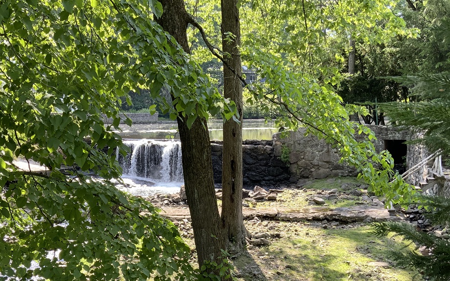 Fillow Street dam